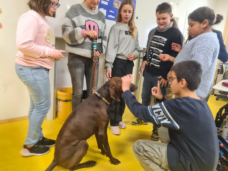 Hunde, Katzen und Hamster zu Besuch an der GMS